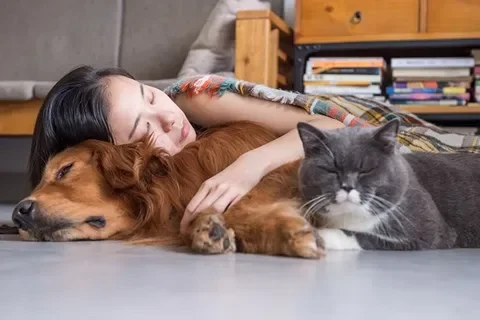 Những Vấn Đề Phát Sinh Và Cách Giải Quyết