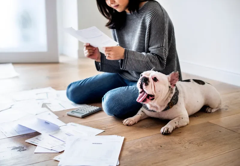 Quy Định Về Nuôi Thú Cưng Trong Căn Hộ Chung Cư